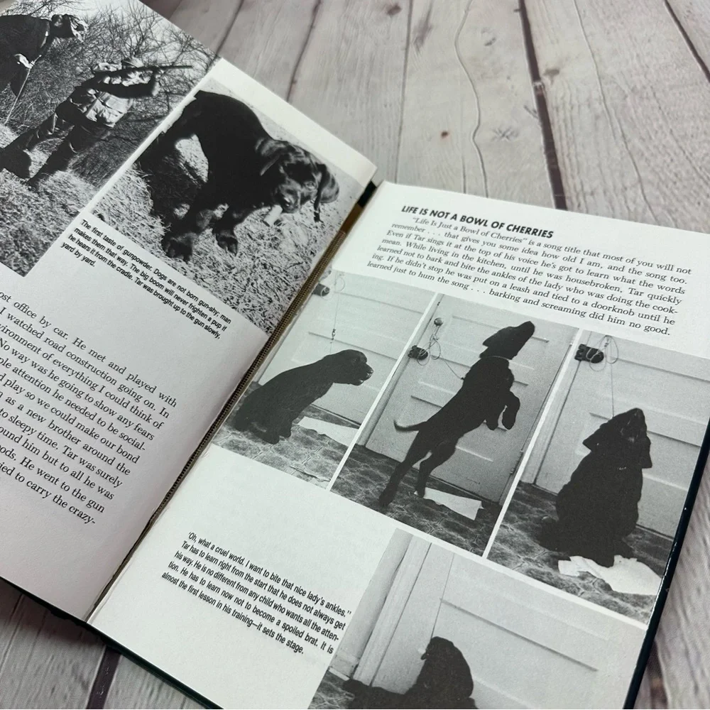 vintage 1995 Game Dog Training hardcove Book by Richard A. Wolters - Green Cover